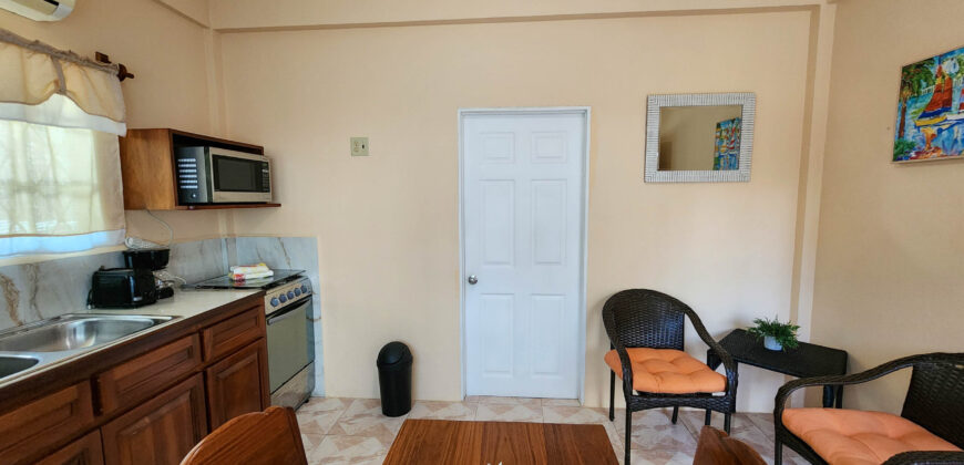 Sidewalk Charmer – One Bedroom Apartment